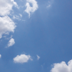 もちもちもっちー（もっちん）