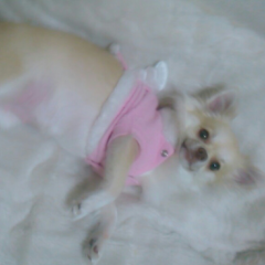 お好きにおしゃべりしましょ？