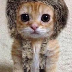 かずぽん