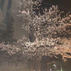 りりぽのトーク