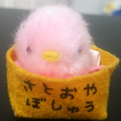 ひがるん