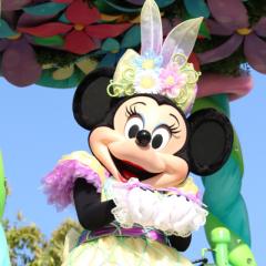 チェリーズ写真館