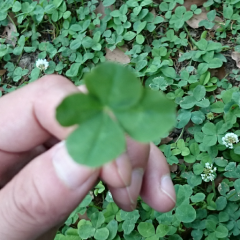 独り言ﾌﾞﾂﾌﾞﾂするやん💭 やじ要らん。