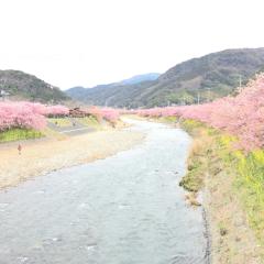 🎶 さとやんのつぶやき 🎶