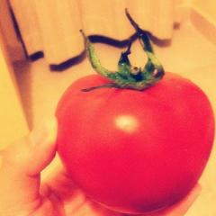 りょうちゃんTomato
