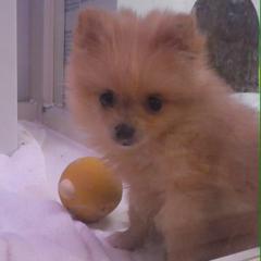 こじまこ推し💓