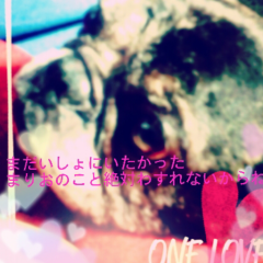 犬死んじゃった はげまして