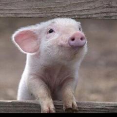 ゆーいちのトーク