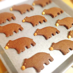 ナタ・デ・ココ