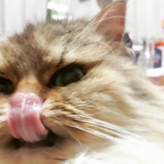 たた