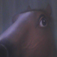 ペンキルドンナ★