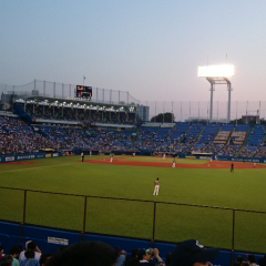 ヤクルトスワローズが好きな人