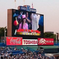 今日一緒に神宮で野球見てくれる人と募集中