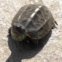 色々、気軽に話そー