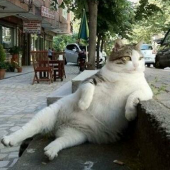 たっつんのトーク