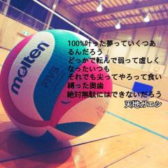 Arisuのトーク