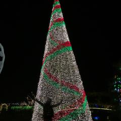 あんりちゃんのかまちょROOM😊