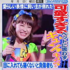 てんぴーのトーク