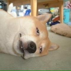 私のパパが伝えてくれた言葉とお話し。前編