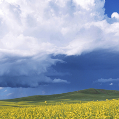ひとくんの部屋