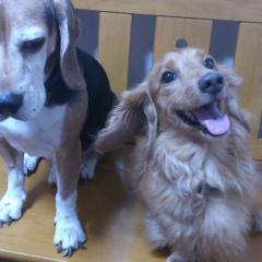 みいたんのトーク