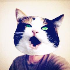 影法師のトーク