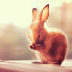 ｇ％っっっっｇｈｏ♓💕