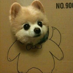 暇だよ〜！誰か遊びに来て？(ू•ω•ू❁)