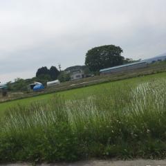 青森住みおらんのかい