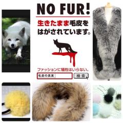 🐶🐱🐭🐰🐹動物大好き🐒🐷🐴🐘🐬