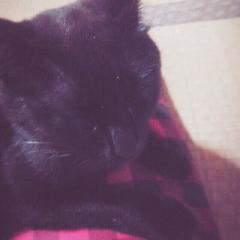 ちー