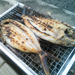 いったんもめんのトーク