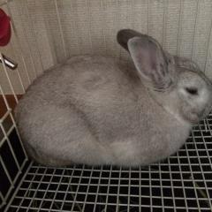 塾長会【京都四条烏丸支部】