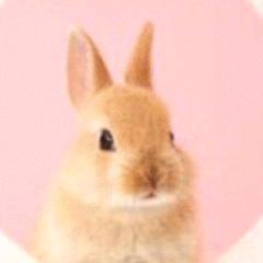 たまたま
