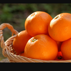 愛媛の人～Come On!