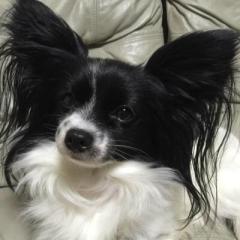 ぷーさんのトーク