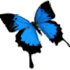 菰菟❀6/12.13 NoGoD