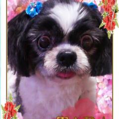 タラちゃんのトーク