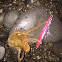 ショアジギング