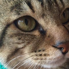 かんちゃんのトーク