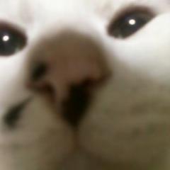 ✨りん→エイドリアン✨（いずりな命名）✨