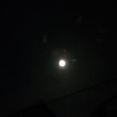 みかん