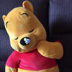 いろいろ話🎶プーちゃんPEACE ROOM