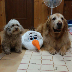 炭酸好きな人集まれ➰