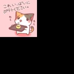 ゆめちゃんとのお部屋