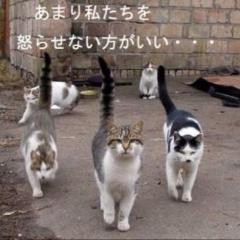 ミラクル