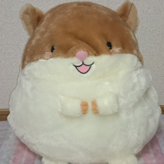 がんちゃんラブ😆人😆✨