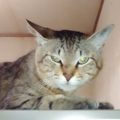 ゆっちゃむさん(♡˙︶˙♡)