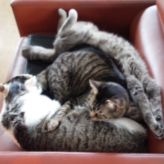 ma---i▼*揉み洗い