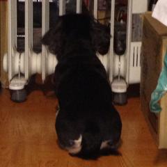 ちょい悪オヤジのトーク